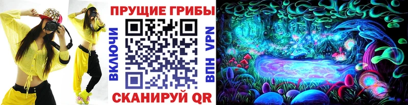 Купить  Ардатов  Галлюциногенные грибы GOLDEN TEACHER 